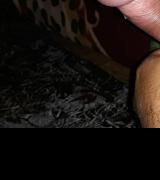 Gigolo-69's Avatar