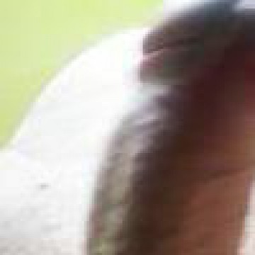 andreiadi232 avatar