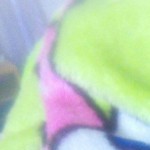 petsexy69 avatar