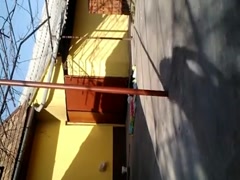 Striptease in curte