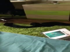 Thumb 17